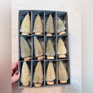 West Elm bottlebrush trees